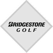 Shop Bridgestone Golf Balls